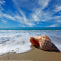 Buy canvas prints of Beach with shell by Constantinos Iliopoulos