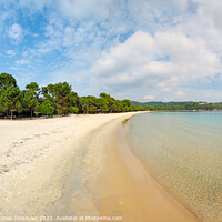Buy canvas prints of The beach Koukounaries in Skiathos, Greece by Constantinos Iliopoulos