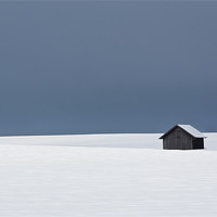 Buy canvas prints of At the heart of winter by Maxim van Asseldonk