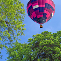 Buy canvas prints of Balloon in flight by Peter Cope