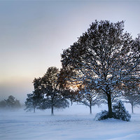 Buy canvas prints of Sussex Snow by sam moore