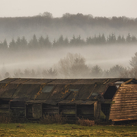 Buy canvas prints of the barn and the mist by sam moore