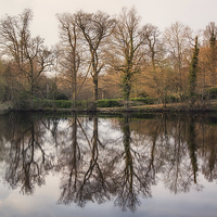 Buy canvas prints of reflect by sam moore