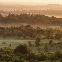 Buy canvas prints of  Ashdown Forest by sam moore