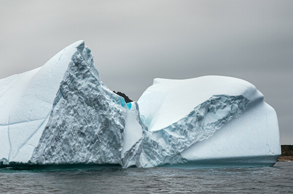 Amazing texture and pattern in an iceberg  Picture Board by Ian Duffield