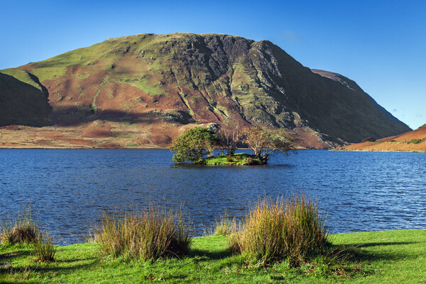 Sunlit autumnal colours at Crummock Water Picture Board by Ian Duffield