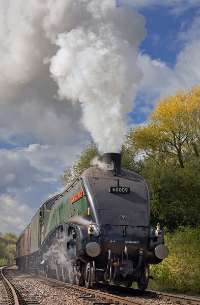 Powerful steam locomotive approaching at speed Picture Board by Ian Duffield