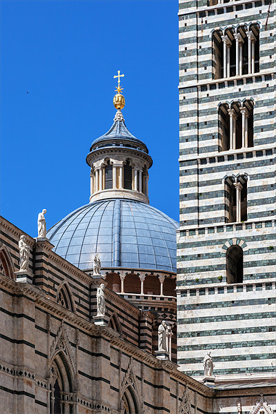 Siena Duomo and Campanile Picture Board by Ian Duffield