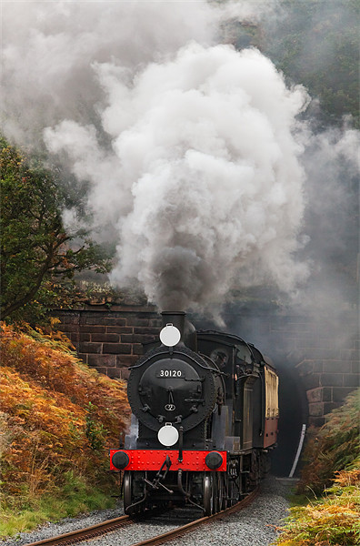 Steam loco blasts out from the Tunnel Picture Board by Ian Duffield