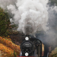 Buy canvas prints of Steam loco blasts out from the Tunnel by Ian Duffield