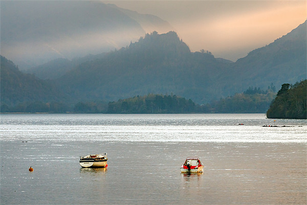 Caught in the light on Derwentwater. Picture Board by Ian Duffield