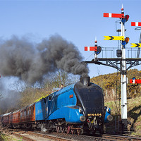 Buy canvas prints of Historic steam train passing the signals by Ian Duffield
