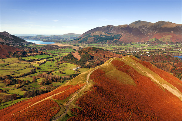 Stunning view from Catbells to Bassenthwaite Picture Board by Ian Duffield