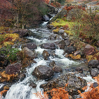 Buy canvas prints of Colourful Far Easdale Ghyll by Ian Duffield