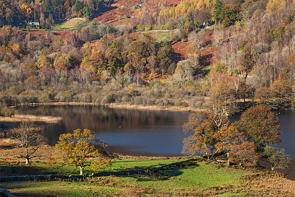 Rydal Water in Autumn Picture Board by Ian Duffield