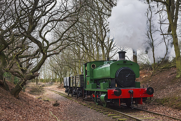 Goods train through the woods Picture Board by Ian Duffield