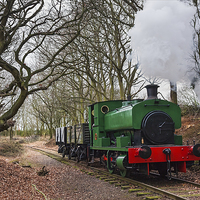 Buy canvas prints of Goods train through the woods by Ian Duffield
