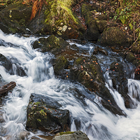 Buy canvas prints of Babbling Beck by Ian Duffield