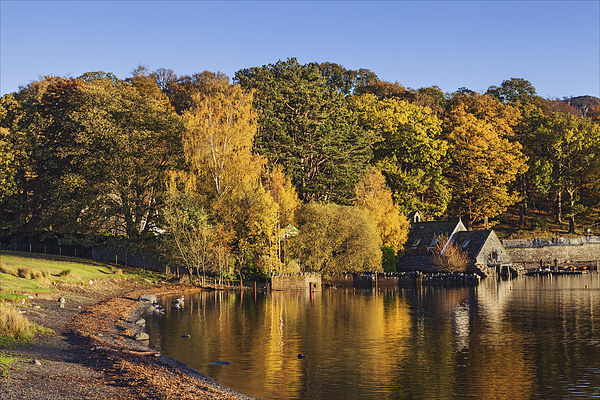  Golden colours at Keswick Lakeside Picture Board by Ian Duffield