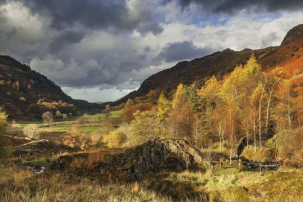  Autumn at Watendlath Picture Board by Ian Duffield