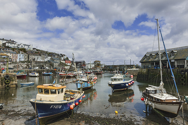  Mevagissey Harbour Picture Board by Ian Duffield