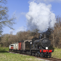 Buy canvas prints of  Purbeck Goods Train by Ian Duffield