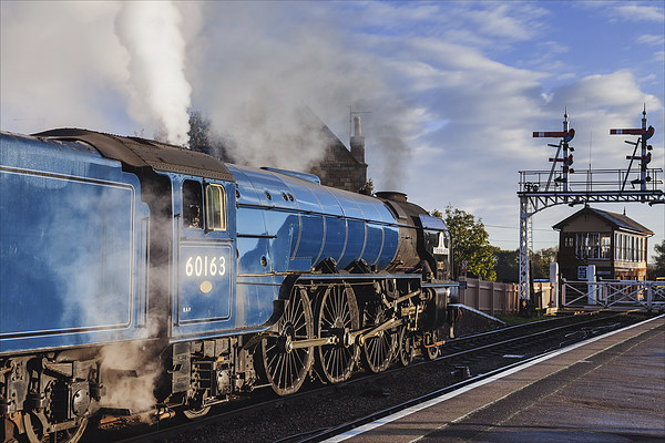  Steam train about to depart Picture Board by Ian Duffield