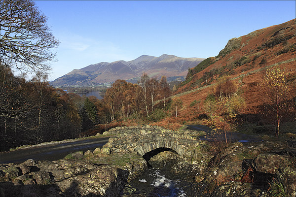 Ashness Bridge and Skiddaw  Picture Board by Ian Duffield