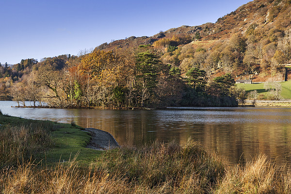 Rydal Water in Autumn  Picture Board by Ian Duffield