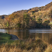 Buy canvas prints of Rydal Water in Autumn  by Ian Duffield