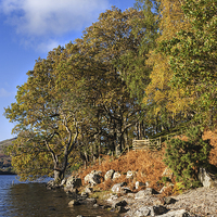 Buy canvas prints of  Crummock Water Shoreline by Ian Duffield