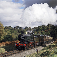 Buy canvas prints of  City of Truro exits Foley Park Tunnel by Ian Duffield