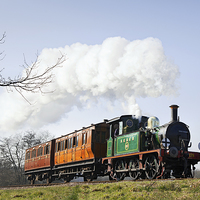 Buy canvas prints of  South Eastern Local Train by Ian Duffield