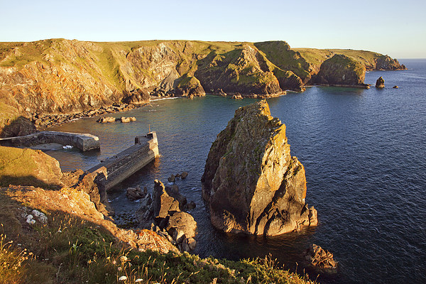  Early evening at Mullion Cove Picture Board by Ian Duffield