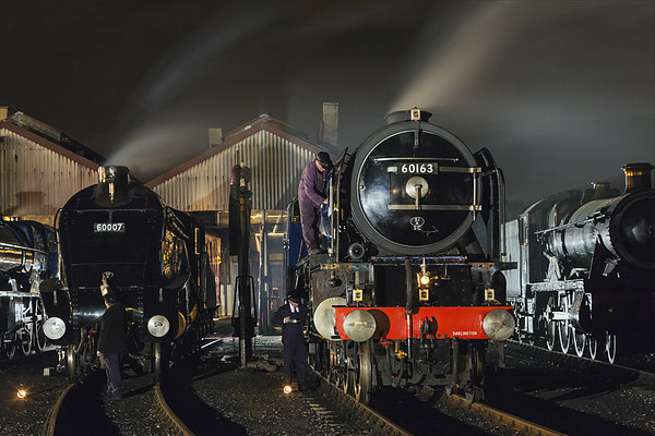  Steam locomotives receive attention on shed at ni Picture Board by Ian Duffield