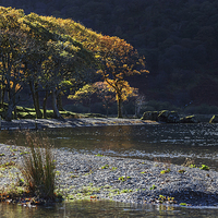 Buy canvas prints of  Backlit trees at Crummock Water by Ian Duffield