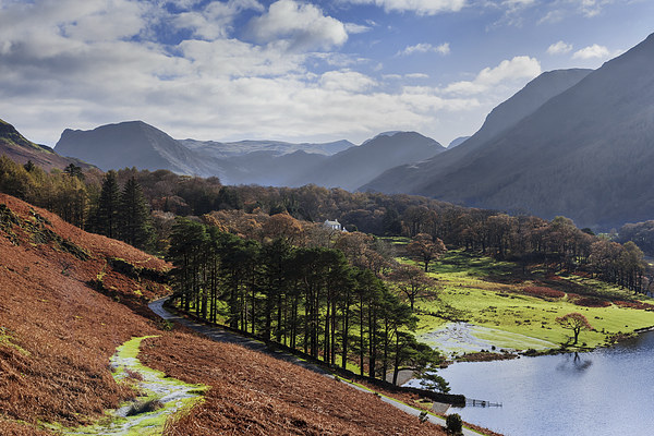  Crummock Water and surrounding hills in Autumn Picture Board by Ian Duffield