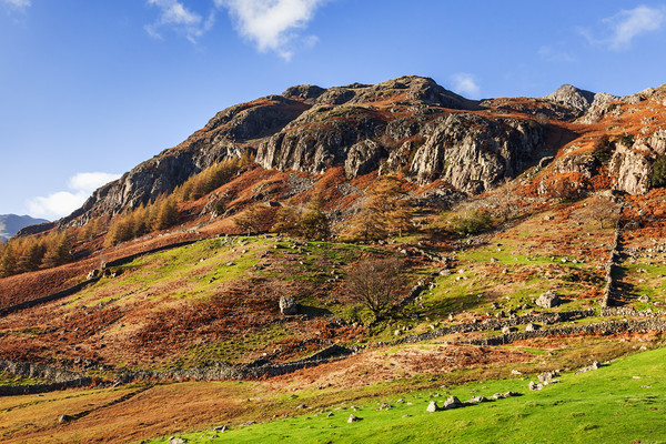 An Autumn afternoon by the Langdale Pikes Picture Board by Ian Duffield