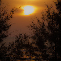 Buy canvas prints of Sunset..... by Telmo Zaldivar Jr