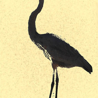 Buy canvas prints of Heron wading in ocean by Regis Yaworski