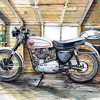 Buy canvas prints of A Goldie in the Shed by John Lowerson