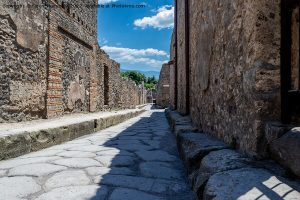 the streets of Pompeii   Picture Board by Ferenc Verebélyi