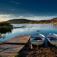 Buy canvas prints of resting      by Ferenc Verebélyi