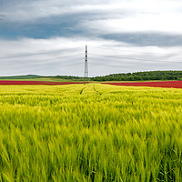 Buy canvas prints of color field    by Ferenc Verebélyi