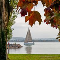 Buy canvas prints of autumn     by Ferenc Verebélyi
