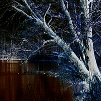 Buy canvas prints of Dark Side 7 by Alan Harman