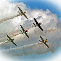 Buy canvas prints of Yak formation Flying. by Rupert Gladstone