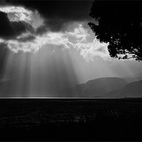 Buy canvas prints of Sun Rays by Paul Want