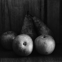 Buy canvas prints of Apples & Pears by Paul Want