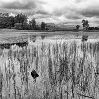 Buy canvas prints of Tarn by Paul Want